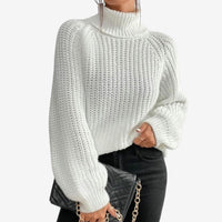 Monteiro™ Turtleneck Sweater
